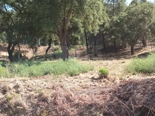 Terreno Misto, Salgueiro do Campo, Castelo Branco