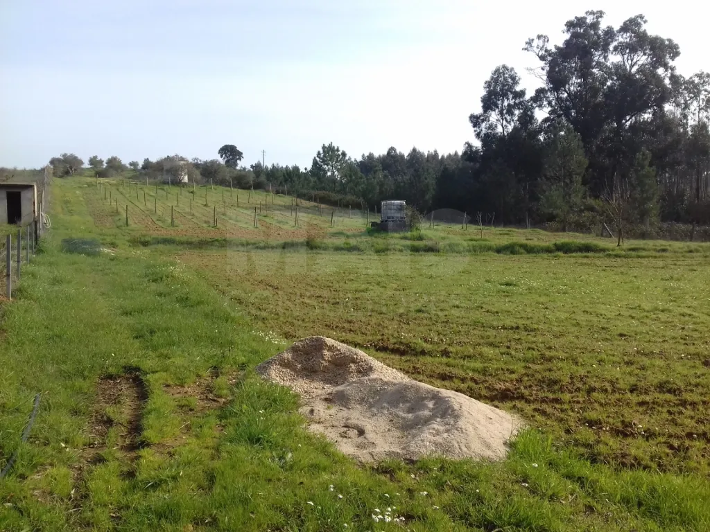 Terreno Agrícola ideal para Agri. Biológica