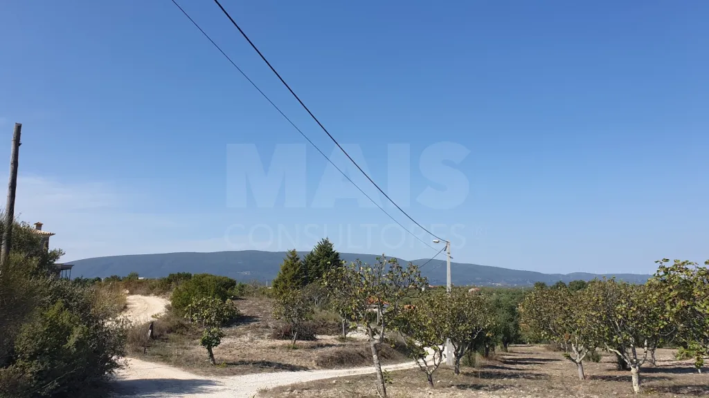 Terreno Misto com Ruina em TORRES NOVAS