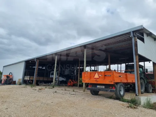 QUINTA, em  Casas Novas  - MOURISCAS -ABRANTES