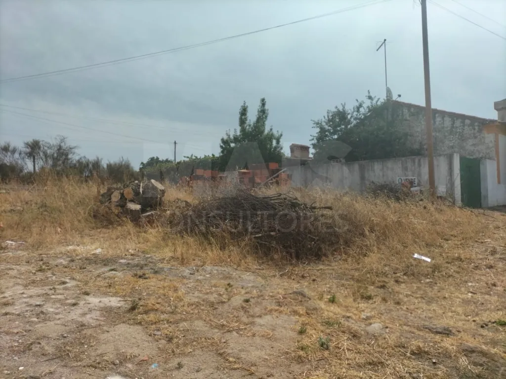 Terreno para construção em Alagoa