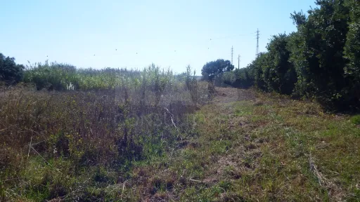 Quinta com Adega | 37.500 m² | Atouguia da Baleia, Peniche