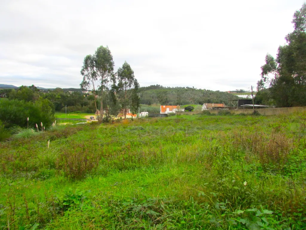 Terreno Urbanizável - 1,7ha - Torres Vedras - Ramalhal