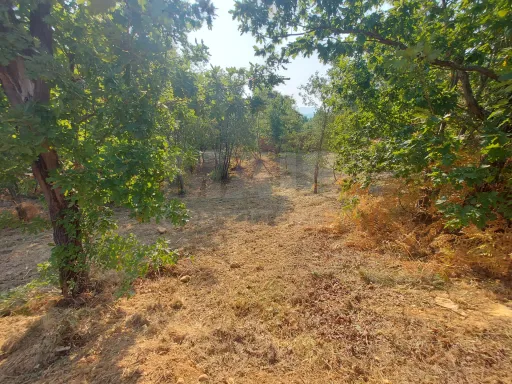 Terreno com 1872 m2 em Côja para construir
