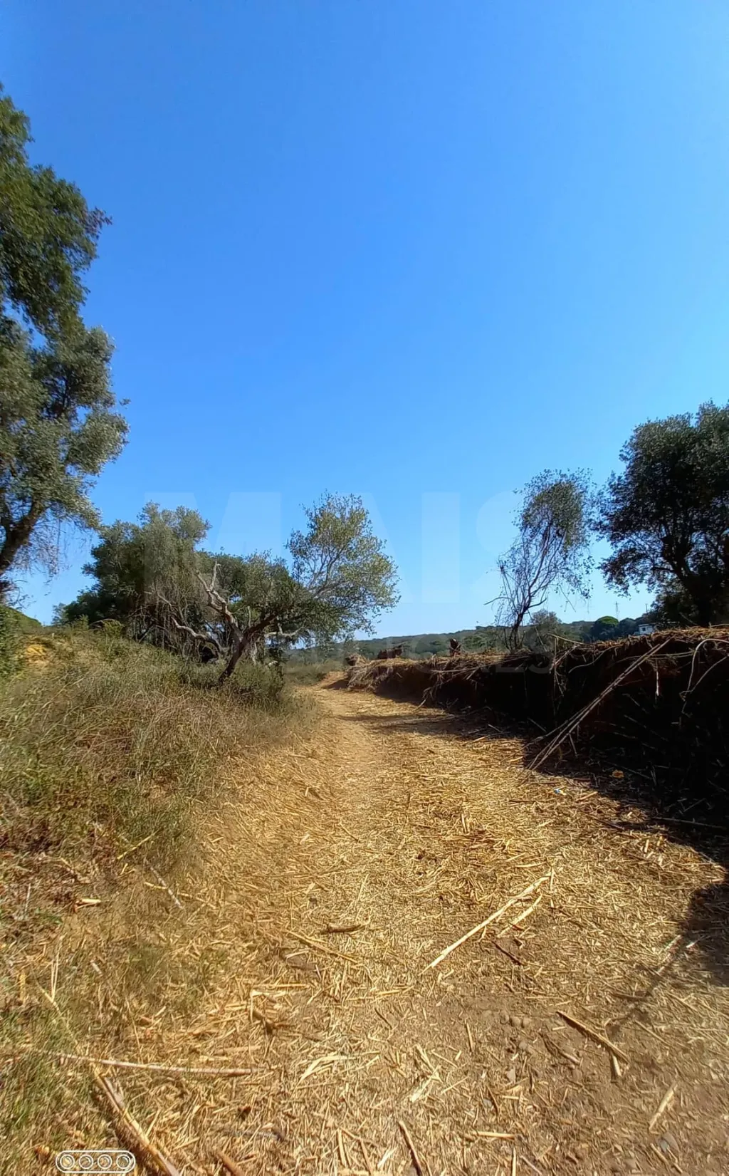 Terreno para Construção em Vale do Mouro de Baixo, Melides