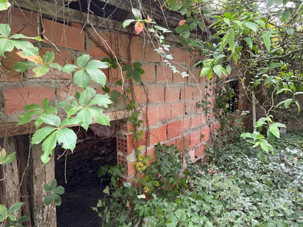 Ruins in Olho Marinho