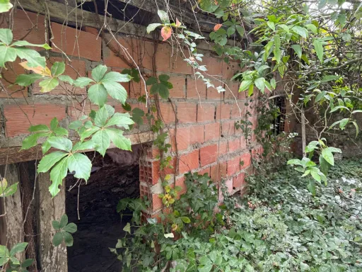 Ruins in Olho Marinho