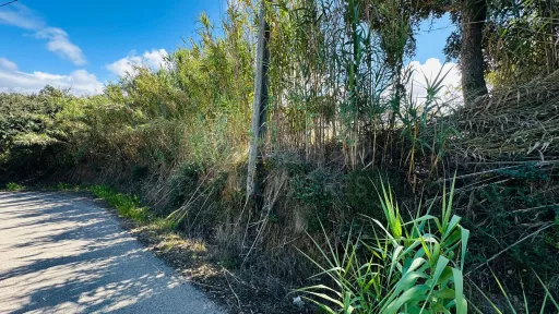 6,042 m² Lot | Building Potential | Santa Bárbara, Lourinhã
