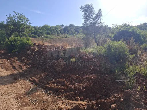 Excelente lote de Terreno Rústico com bons acessos