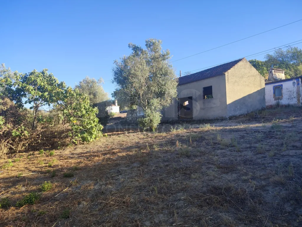 Quinta com moradia para recuperar na zona de Abrantes