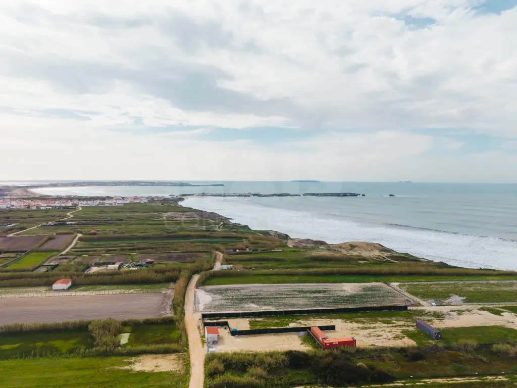 Unidade com Licença Industrial + Projeto Prévio para Hospedagem | 5.390 m² | Ferrel