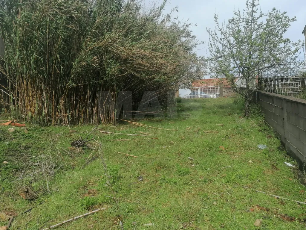 Rustic land in Vila Franca De Xira