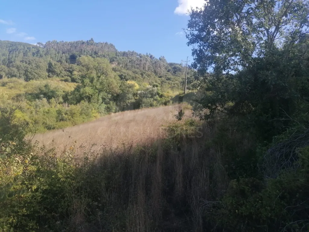 Rustic land in Sobral de Monte Agraço