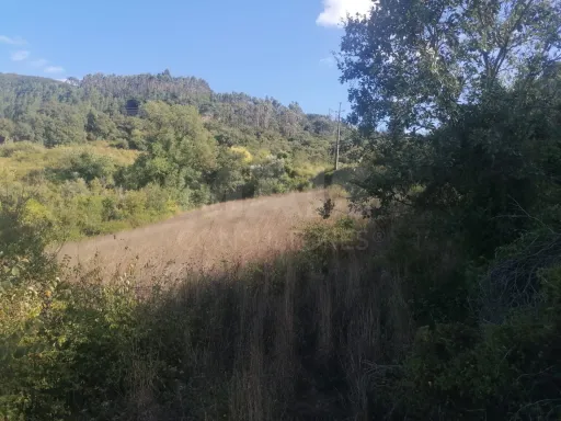 Terreno rústico Sobral de Monte Agraço