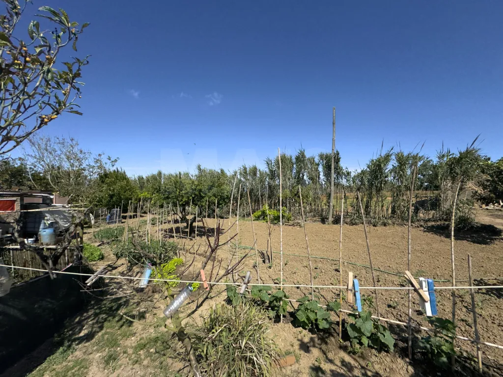 Moradia T2+3 com Terreno de quase 3000m2 Urbano