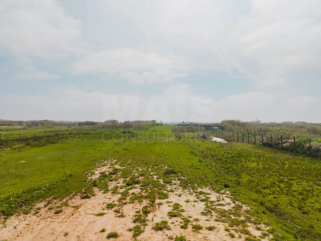 Terreno rústico com 2.760 m², localizado em zona privilegiada à beira-mar no Baleal.