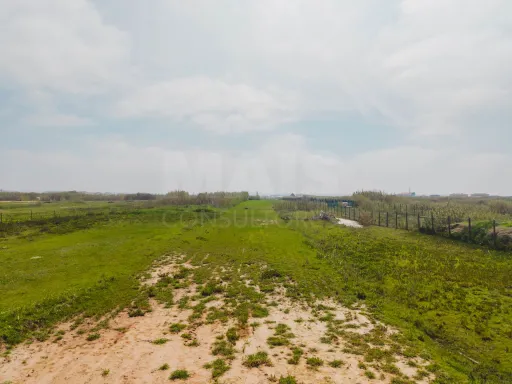 Terreno rústico com 2.760 m², localizado em zona privilegiada à beira-mar no Baleal.
