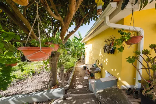 Propriedade única, a apenas 2 km de Alcobaça, com mais de 30.000 m² de terreno