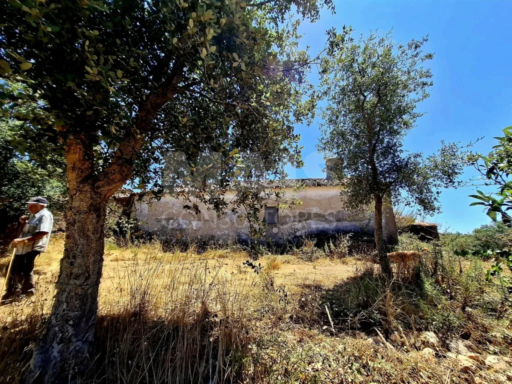 Herdade com 73,7 h em Relíquias, Odemira