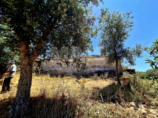 Herdade com 73,7 h em Relíquias, Odemira