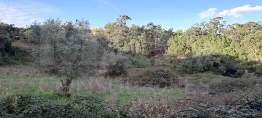 Refúgio perfeito a 15 minutos de Lisboa - Quinta em Loures - Lousa.