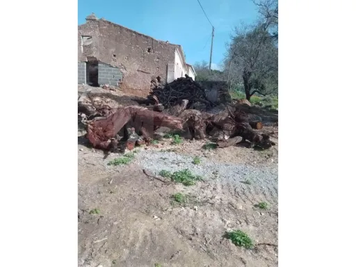 Quinta com 4.160m2 e ruína em Tunes