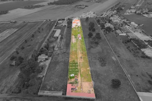 Moradia T3 com Piscina e Terreno de 7.320 m² – Privacidade, Sustentabilidade e Qualidade de Vida