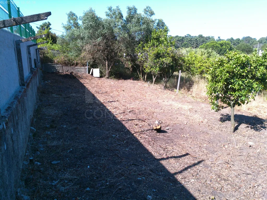 Terreno Rústico, Quinta da Oliva - Charneca da Caparica