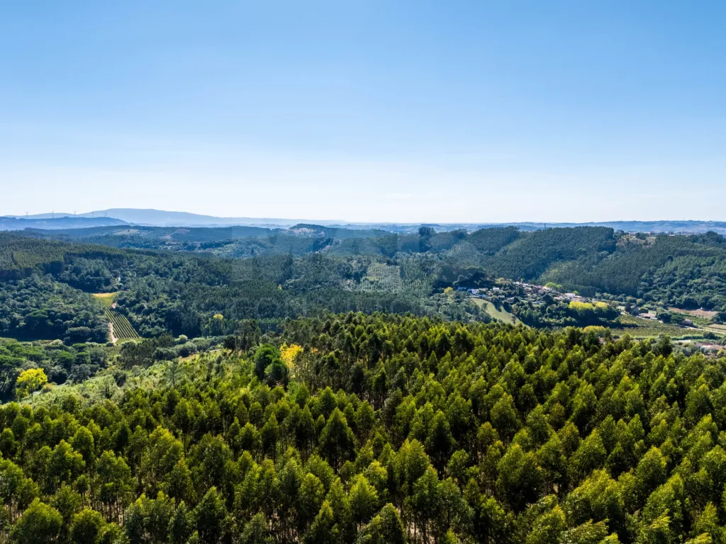 Terreno com projecto aprovado