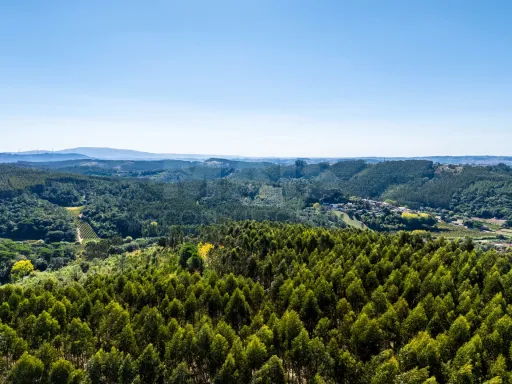 Terreno com projecto aprovado