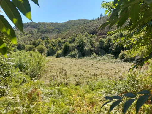 Ruin with land in Pisão / Côja.