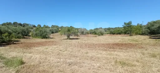 Terreno Misto com Ruina em TORRES NOVAS