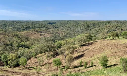 Herdade  com 40,85 hectares em São Bartolomeu da Serra, Santiago do Cacém