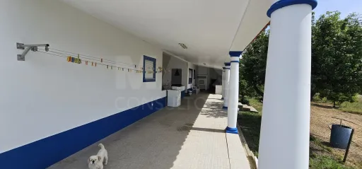 Moradia Térrea V3 com terreno urbano de 3780m2 no Alentejo