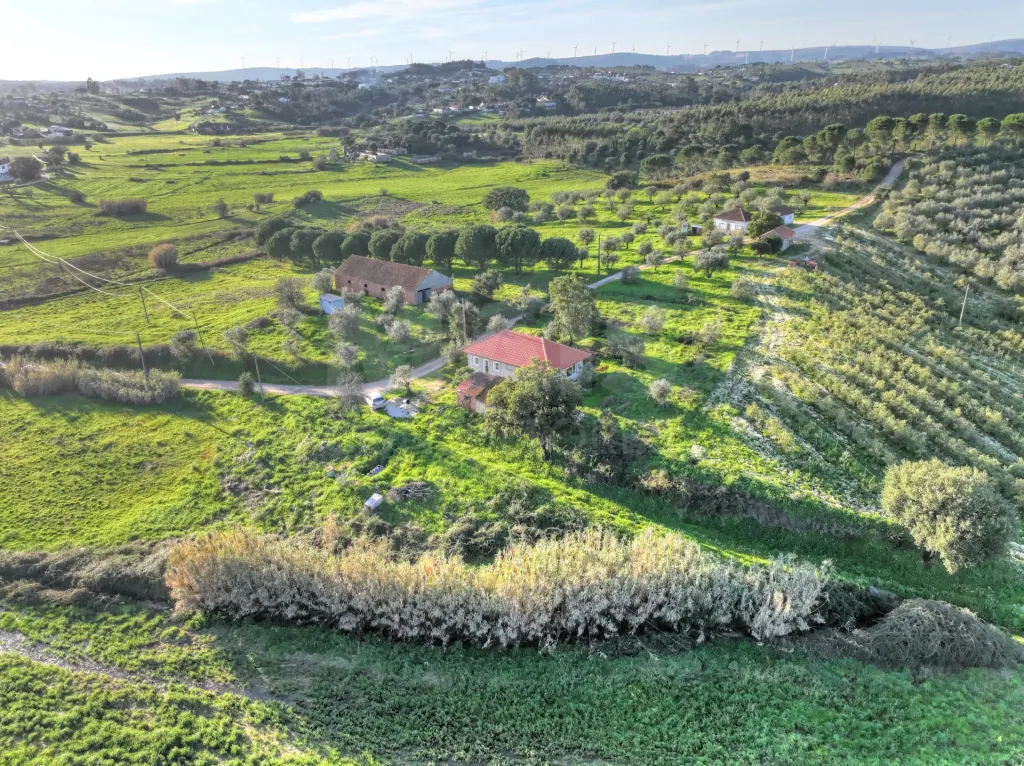 Moradia T2+1 c/ Anexo & Armazém em Lote de 7.600m2