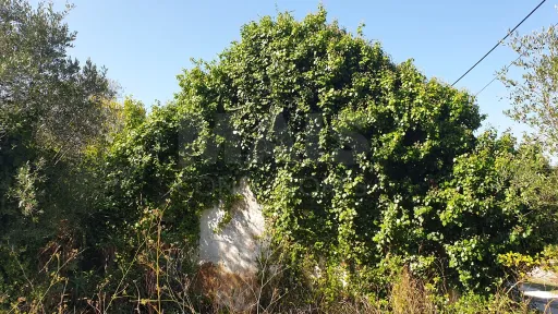 Terreno Misto com Ruina em TORRES NOVAS
