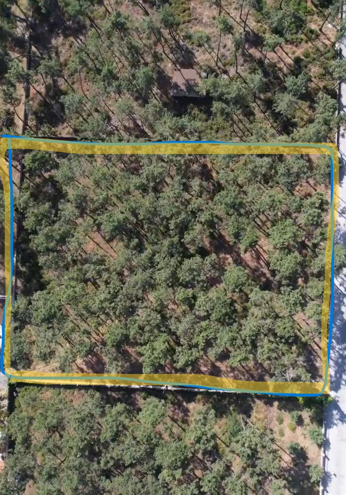 Terreno 5.000 m² na Aroeira | Oportunidade de Investimento