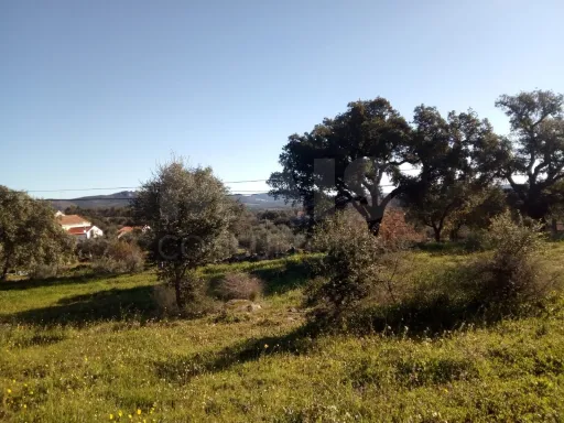 Terreno Rústico em Monsanto - Oportunidade Única para Construção Residencial