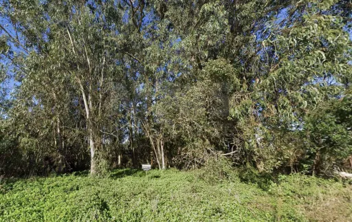 Terreno para construção de Moradias