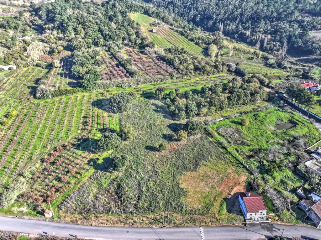Terreno Rústico c/ 3.000m2 de Viabilidade de Construção