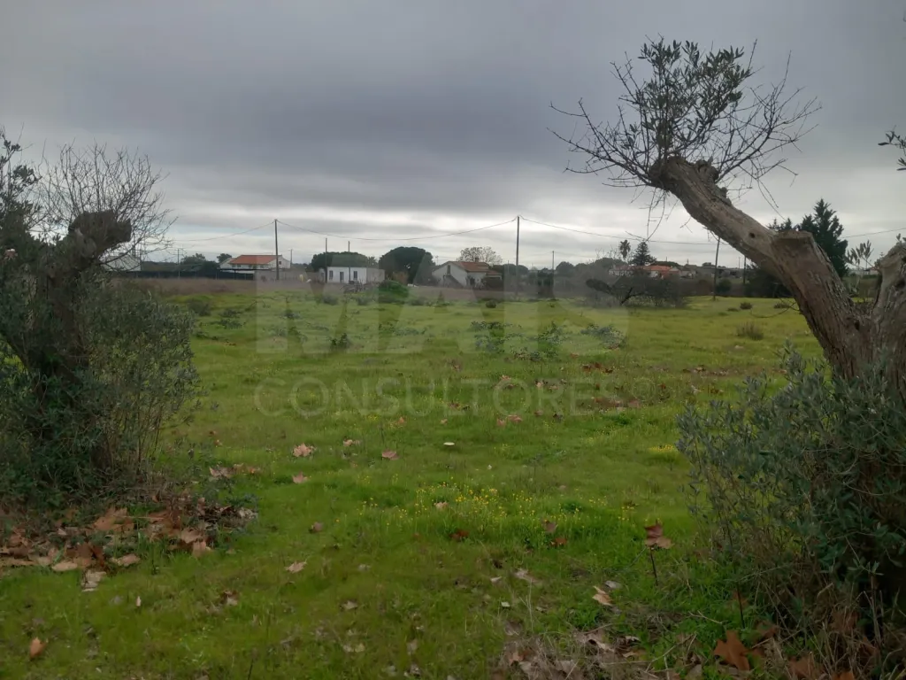 Terreno rústico 6.000m2 situado em Lau-Palmela