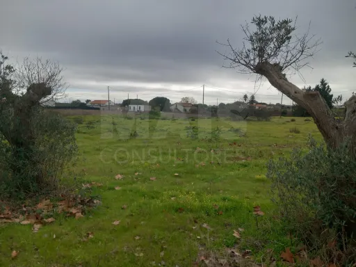 Terreno rústico 6.000m2 situado em Lau-Palmela
