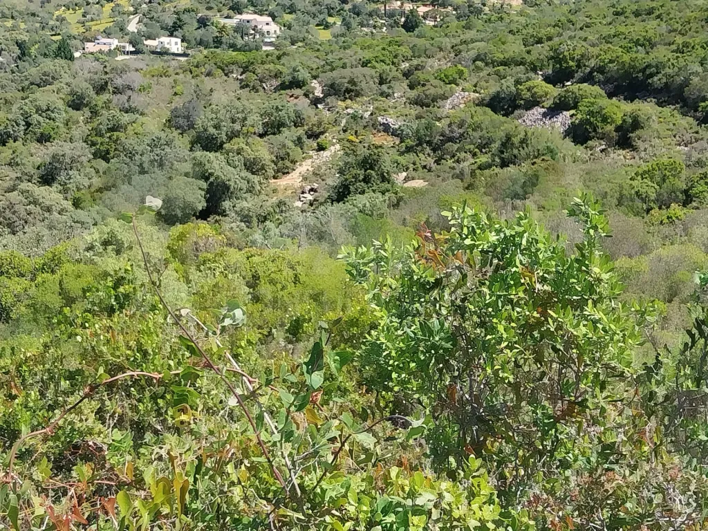Terreno Rustico, vista serra.