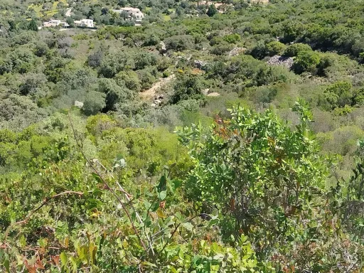 Terreno Rustico, vista serra.