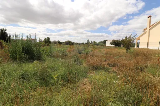 Terreno Rustico com 6240m2 em Salvaterra Magos