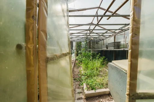 Propriedade única, a apenas 2 km de Alcobaça, com mais de 30.000 m² de terreno