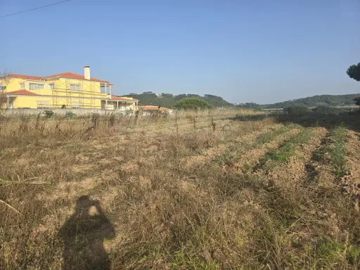 Terreno com Potencial de Construção | Tornada – Caldas da Rainha