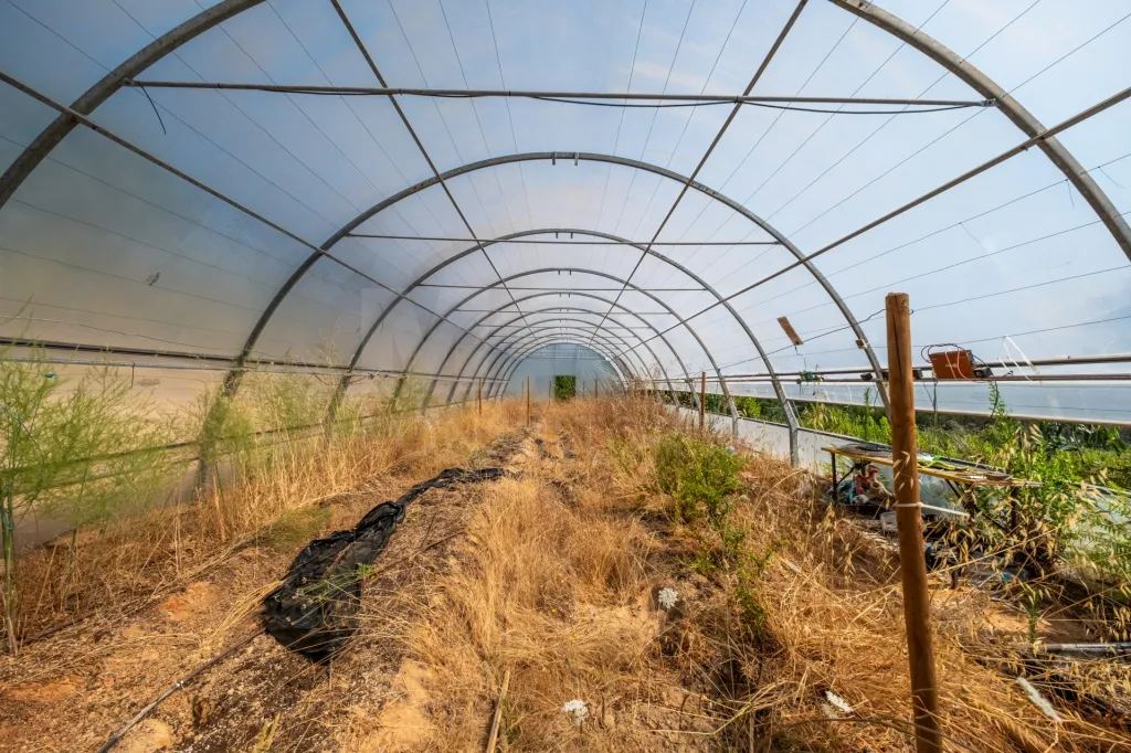Terreno Agrícola na Fanadia | 16.100 m² de Potencial e Infraestruturas Preparadas