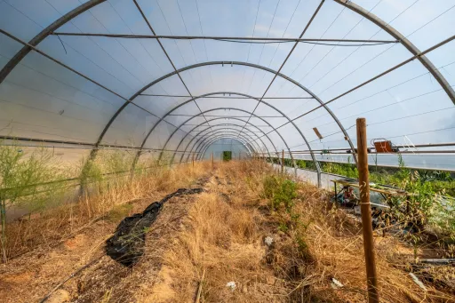 Terreno Agrícola na Fanadia | 16.100 m² de Potencial e Infraestruturas Preparadas