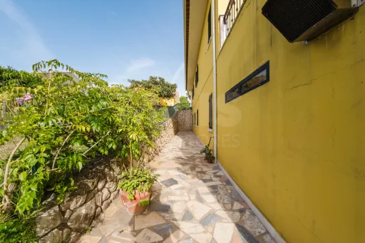 Propriedade única, a apenas 2 km de Alcobaça, com mais de 30.000 m² de terreno